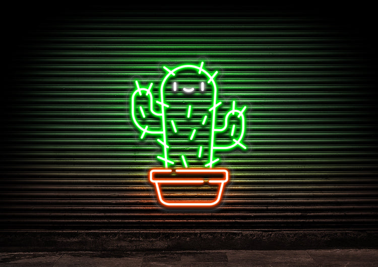 Cactus Guy