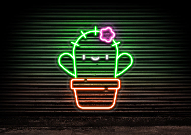 Cactus Cutie