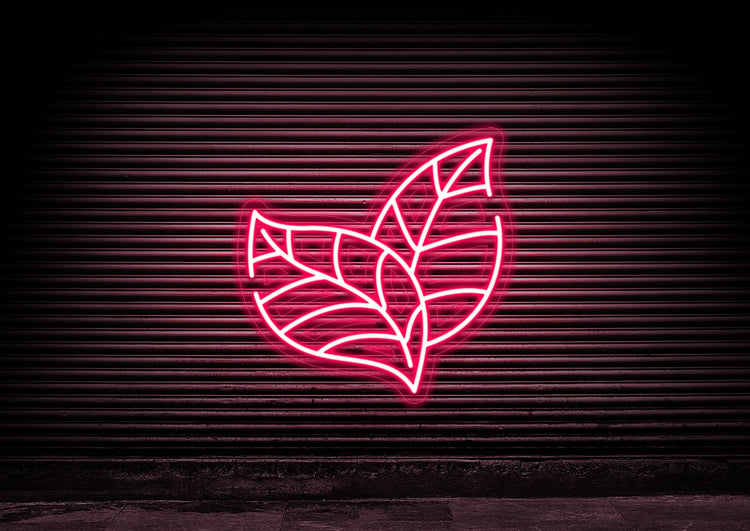 Leaf