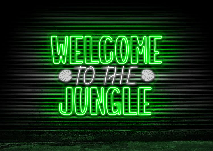 Welcome to the Jungle