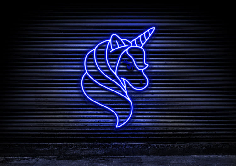 Fairytale Unicorn