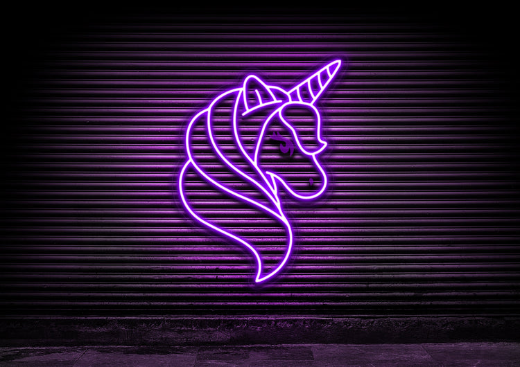 Fairytale Unicorn