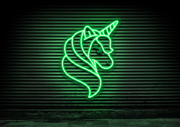 Fairytale Unicorn