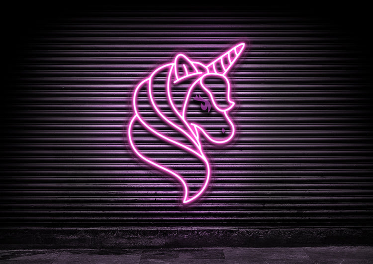Fairytale Unicorn
