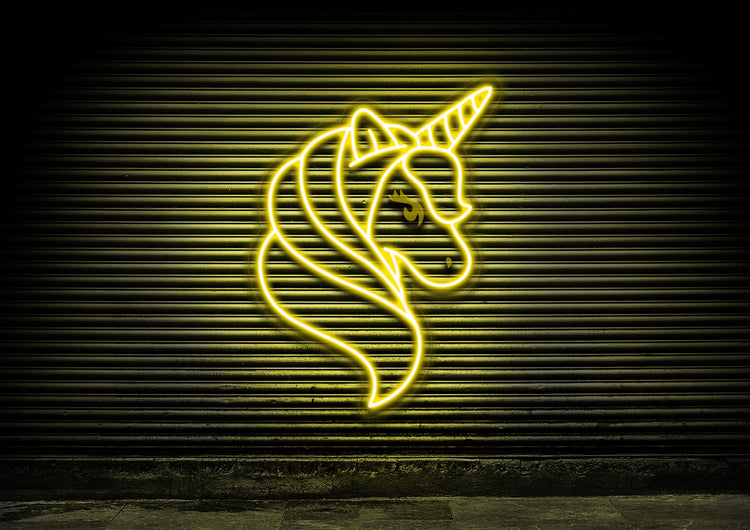 Fairytale Unicorn
